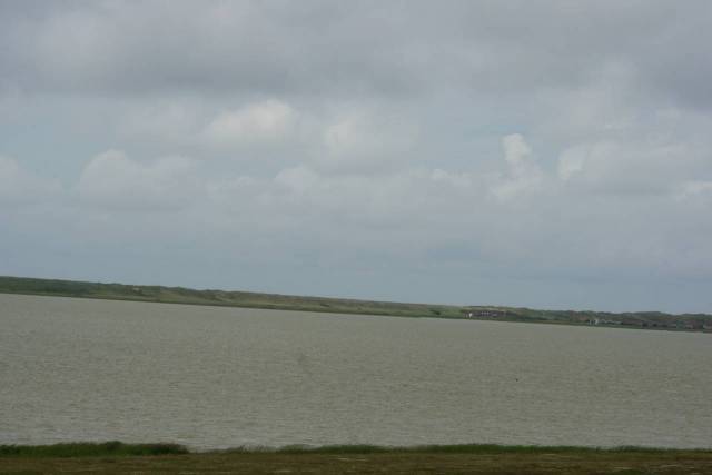 DSC05653